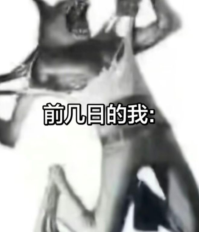 轻松一刻:听说阅读可以缓解焦虑|搞笑|段子|美女|奇葩|新闻|两性|猎奇|内涵