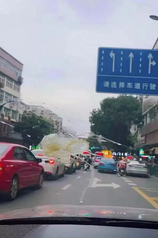 轻松一刻:打败人的从来不是生活,是生活费|维多利亚|流浪女|外卖|隧道