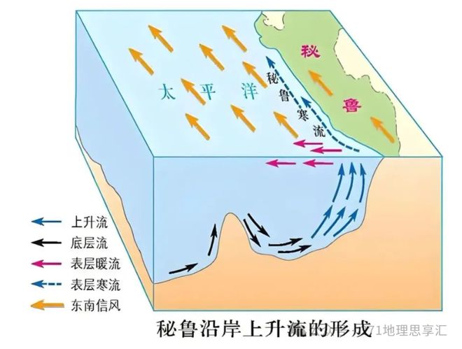 课本只说了地转偏向力改变洋流方向,这个高考难点藏着埃克曼输送|海流|季风|上升流