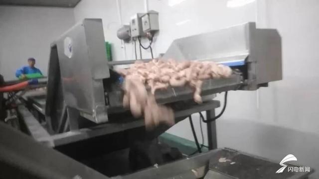你吃的烤肠、肉丸可能是用鸡脖子做的！河南多家工厂被曝用鸡脖泥做馅料，撒尿牛丸“牛肉味纯靠牛肉膏”！厂家提醒：馅类的产品，少吃|鸡肉|水饺|鸡架|牛肉丸|韩式烤肠