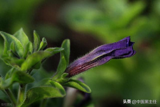 送您一张前列腺方，我用了 30 年，只公开这一次，务必存好！
