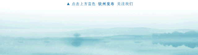 钦州市教育局关于征集钦州市中小学校服统一款式及钦州教育标识设计方案的公告